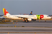 Javier de la Cruz - CANARY ISLANDS SPOTTING. Click to see full size photo