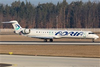 Miguel Alia - Noisy Spotters. Click to see full size photo