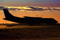 Javier de la Cruz - CANARY ISLANDS SPOTTING. Haz click para ampliar