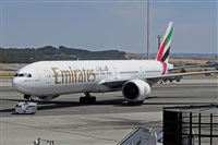Miguel A. gueda Rguez.  (CANARY ISLANDS SPOTTING). Haz click para ampliar