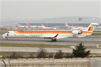 ©Alfonso Solís - Asociación Canary Islands Spotting. Click to see full size photo ©Alfonso Solís - Asociación Canary Islands Spotting. Click to see full size photo