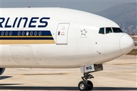 Javier de la Cruz - CANARY ISLANDS SPOTTING. Click to see full size photo