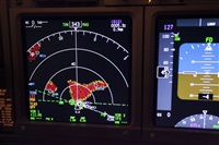 liveview. Click to see full size photo