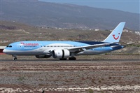 ©Alfonso Solís - Asociación Canary Islands Spotting. Click to see full size photo ©Alfonso Solís - Asociación Canary Islands Spotting. Click to see full size photo