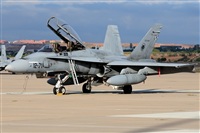 norber. Click to see full size photo