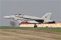 Gely Adan. Click to see full size photo