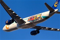 Javier de la Cruz - CANARY ISLANDS SPOTTING. Haz click para ampliar