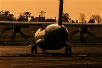 Javier de la Cruz - CANARY ISLANDS SPOTTING. Click to see full size photo