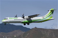 Saimon J Rodriguez   -   Canary Islands Spotting. Click to see full size photo