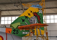 Joaqun Bueno Daza -Aire. org / Airbus DS fans group. Click to see full size photo
