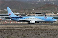 ©Alfonso Solís - Asociación Canary Islands Spotting. Click to see full size photo ©Alfonso Solís - Asociación Canary Islands Spotting. Click to see full size photo