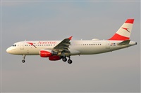 Miguel A. gueda Rguez.  (CANARY ISLANDS SPOTTING). Haz click para ampliar