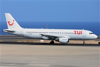 Miguel A. gueda Rguez.  (CANARY ISLANDS SPOTTING). Click to see full size photo