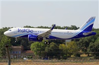 Miguel A. gueda Rguez.  (CANARY ISLANDS SPOTTING). Click to see full size photo