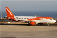 Alfonso Sols - Asociacin Canary Islands Spotting. Haz click para ampliar