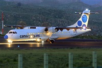 Miguel A. gueda Rguez.  (CANARY ISLANDS SPOTTING). Click to see full size photo