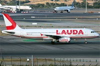 La Roche Spotters. Click to see full size photo