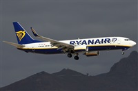 Alfonso Sols - Asociacin Canary Islands Spotting. Haz click para ampliar
