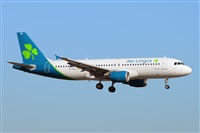 Miguel A. gueda Rguez.  (CANARY ISLANDS SPOTTING). Click to see full size photo