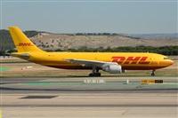 Miguel A. gueda Rguez.  (CANARY ISLANDS SPOTTING). Click to see full size photo