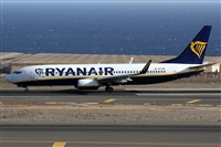 Alfonso Sols - Asociacin Canary Islands Spotting. Click to see full size photo