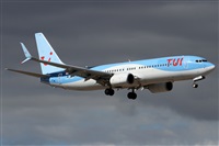 Alfonso Sols - Asociacin Canary Islands Spotting. Haz click para ampliar