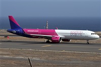 ©Alfonso Solís - Asociación Canary Islands Spotting. Click to see full size photo ©Alfonso Solís - Asociación Canary Islands Spotting. Click to see full size photo