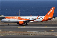 Alfonso Sols - Asociacin Canary Islands Spotting. Haz click para ampliar