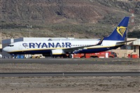 Alfonso Sols - Asociacin Canary Islands Spotting. Click to see full size photo