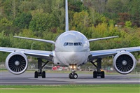 Miguel A. gueda Rguez.  (CANARY ISLANDS SPOTTING). Click to see full size photo