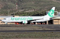 ©Alfonso Solís - Asociación Canary Islands Spotting. Click to see full size photo ©Alfonso Solís - Asociación Canary Islands Spotting. Click to see full size photo