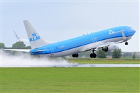 Miguel A. gueda Rguez.  (CANARY ISLANDS SPOTTING). Click to see full size photo