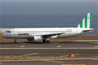 Alfonso Sols - Asociacin Canary Islands Spotting. Click to see full size photo
