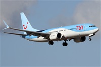 Alfonso Sols - Asociacin Canary Islands Spotting. Click to see full size photo