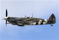 Rod Dermo. Click to see full size photo