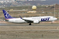 Miguel A. gueda Rguez.  (CANARY ISLANDS SPOTTING). Haz click para ampliar