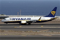 ©Alfonso Solís - Asociación Canary Islands Spotting. Click to see full size photo ©Alfonso Solís - Asociación Canary Islands Spotting. Click to see full size photo