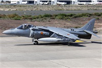 Florencio Martn Melin - Lanzarote Spotters. Click to see full size photo