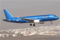 ©Adolfo Bento - Gran Canaria Spotters. Click to see full size photo ©Adolfo Bento - Gran Canaria Spotters. Click to see full size photo