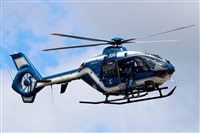 ©Saimon J Rodriguez - Canary Islands Spotting. Click to see full size photo ©Saimon J Rodriguez - Canary Islands Spotting. Click to see full size photo