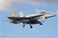 �Vicente Aguil�. Click to see full size photo