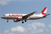 �Alfonso Sol�s - Asociaci�n Canary Islands Spotting. Click to see full size photo