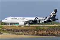 �Miguel A. �gueda Rguez.  (CANARY ISLANDS SPOTTING). Click to see full size photo