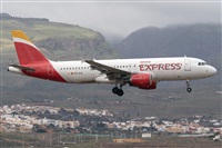 �Adolfo Bento - Gran Canaria Spotters. Click to see full size photo