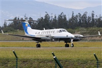 �La Roche Spotters. Click to see full-size photo