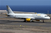 �Alfonso Sol�s - Asociaci�n Canary Islands Spotting. Click to see full size photo