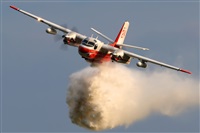 �Andrzej Rejter. Click to see full size photo