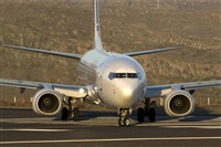 ALAMO AIRLINES.CANARY ISLANDS SPOTTING. Click to see full size photo