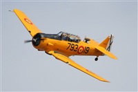 Javier Bozzino Barbudo. Click to see full size photo