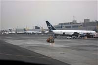 Andrs Meneses - Iberian Spotters. Click to see full size photo